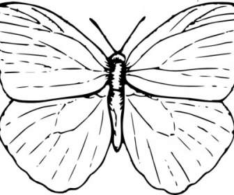 Schmetterling-Clipart