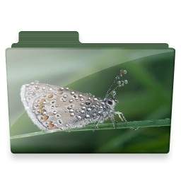 Butterfly Folder