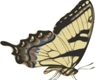 Mariposa Papilio Turno Lado Ver Clip Art