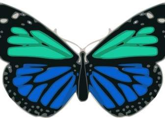 Butterfly Turquoise Blue