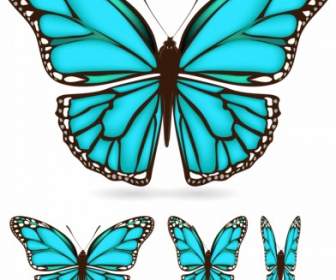 나비 날개 패턴 벡터