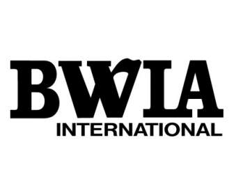 BWIA Internasional