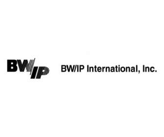 Bwip International