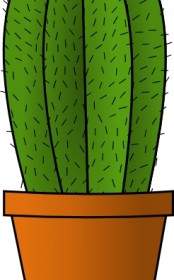 Kaktus Clipart