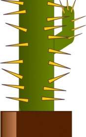 Clipart De Cactus