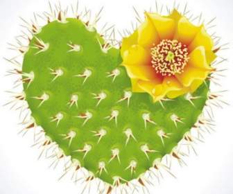 Cactus Flower Romantic Heartshaped Pattern Vector