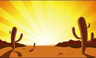 Kaktus In Der Wüste Sonnenaufgang
