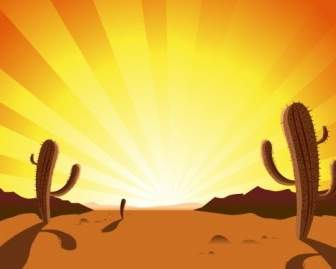 Kaktus In Der Wüste Sonnenaufgang
