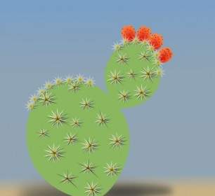 Kaktus Pflanze ClipArt
