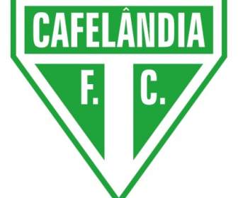 Cafelandia Futebol クラブドラゴ デ Cafelandia Sp