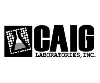 Caig лаборатории
