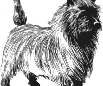 ClipArt Di Cairn Terrier