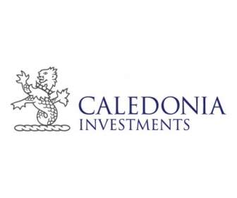 Inversiones De Caledonia