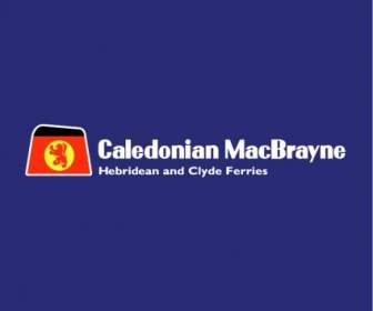 Каледонский Macbrayne