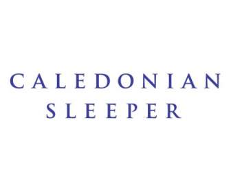 Durmiente De Caledonian