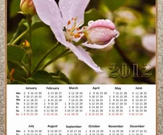 Календарь для