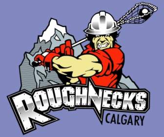 Roughnecks De Calgary