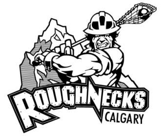 Roughnecks De Calgary