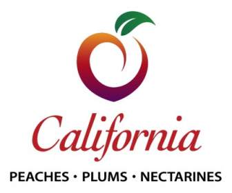 Acordo De Fruta De árvore De Califórnia