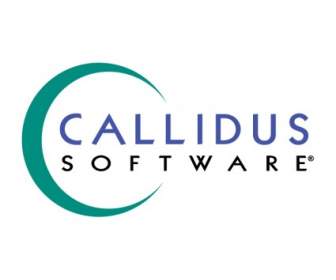 Callidus Software