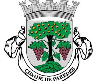 Camara Belediye De Paredes