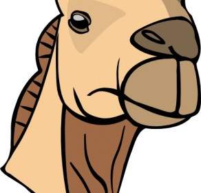 Camel Head Clip Art