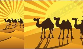 Camellos En El Desierto