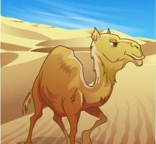 Vector Camello