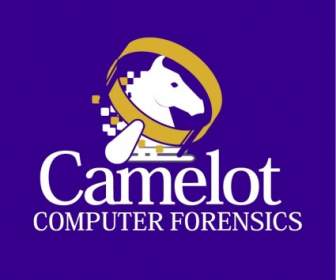 卡梅洛特電腦取證