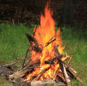 Campfire Celebration Fire