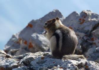 canada national park twizzel