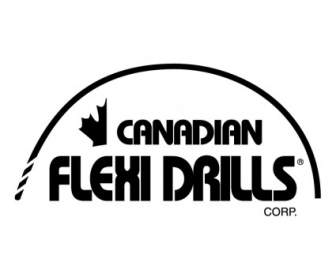 Flexi แคนาดาฝึกซ้อม