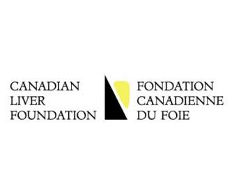 Kanadische Leber-Stiftung