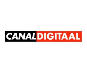 Digitaal を運河します。