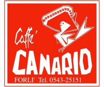 Caffe الكنارية