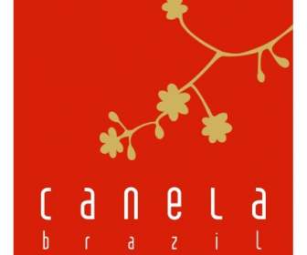 Canela Brésil