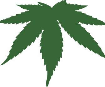 Cannabis Blatt ClipArt