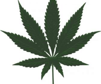 Cannabis Leafs Clip Art