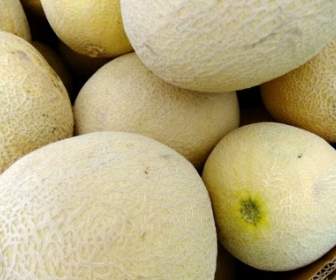 Cantalope Melons Fruit