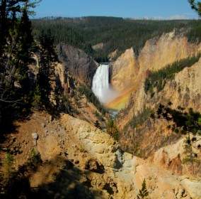 Canyon Wasserfall Yellowstone