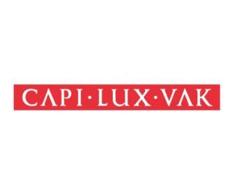 Capi Lux 沃克