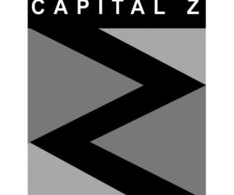 Investissements De Capitaux Z