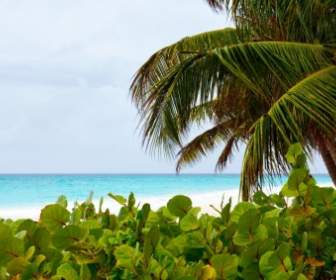 Spiaggia Caraibica