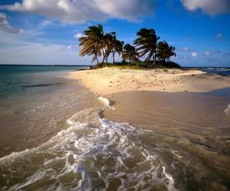 Île Des Caraïbes Wallpaper Plages Nature
