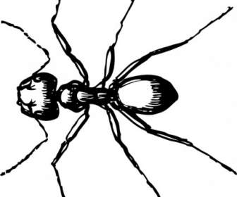 大工の蟻のクリップアート