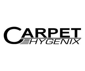 Carpet Hygenix