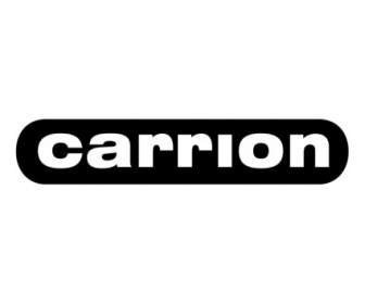 download free carrion on