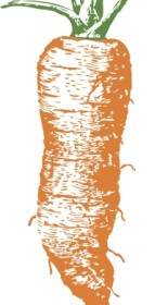 胡蘿蔔剪貼畫