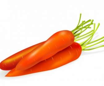 Zanahorias Aisladas