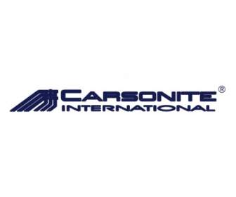 международные Carsonite